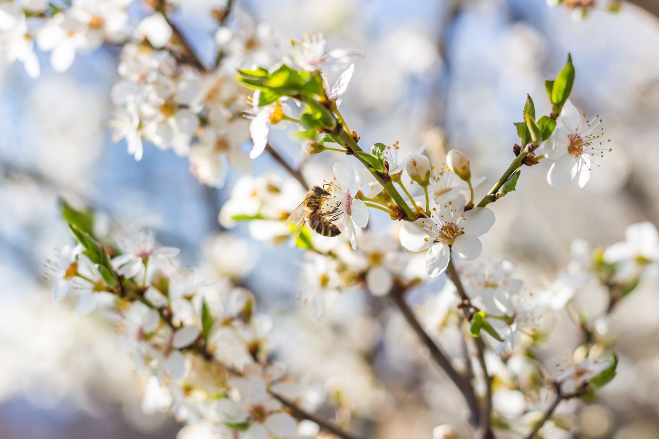 'A lot to learn from rural communities' to tackle biodiversity loss
