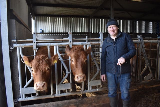 'Social farming is beneficial for all': Limousin breeder
