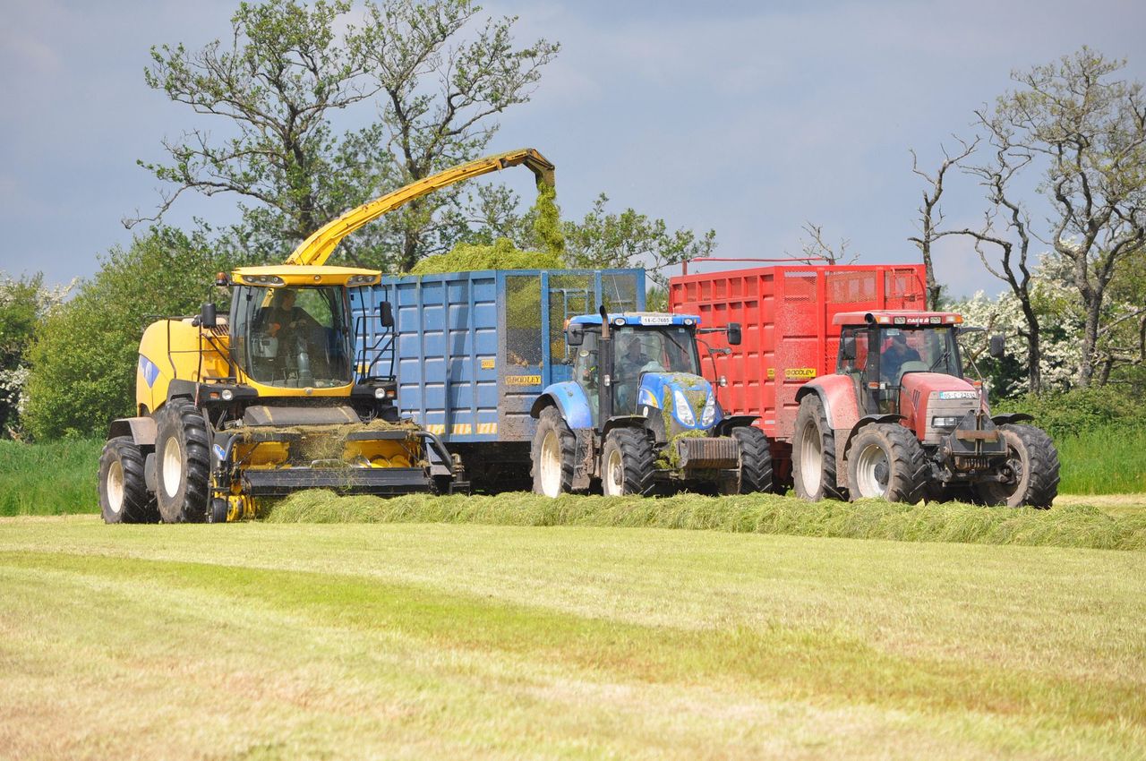 Rainfall warning set to halt silage-cutting operations