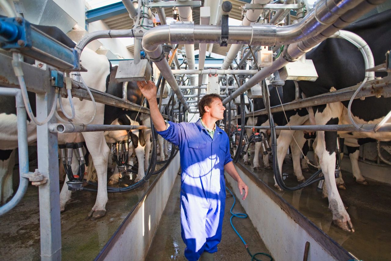 Why Dale Farm and Aurivo pulled the plug on merger talks