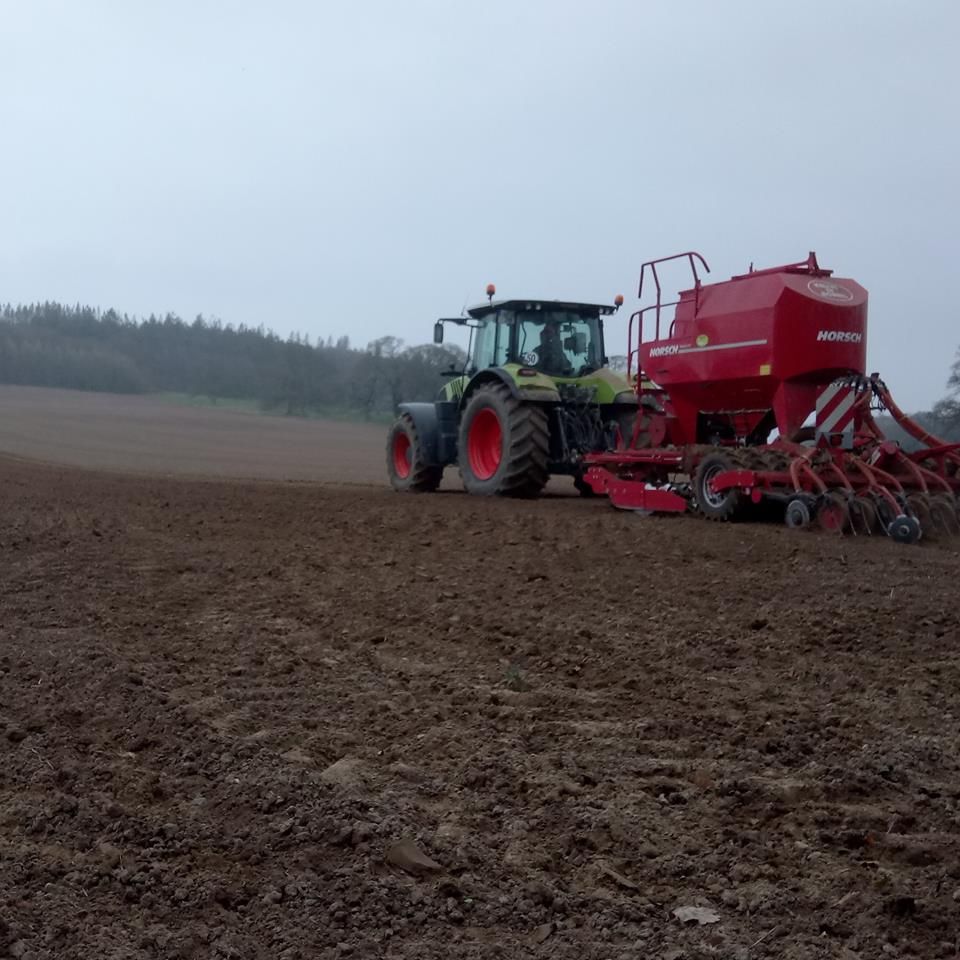 Still time to incorporate phosphorus into the seedbed