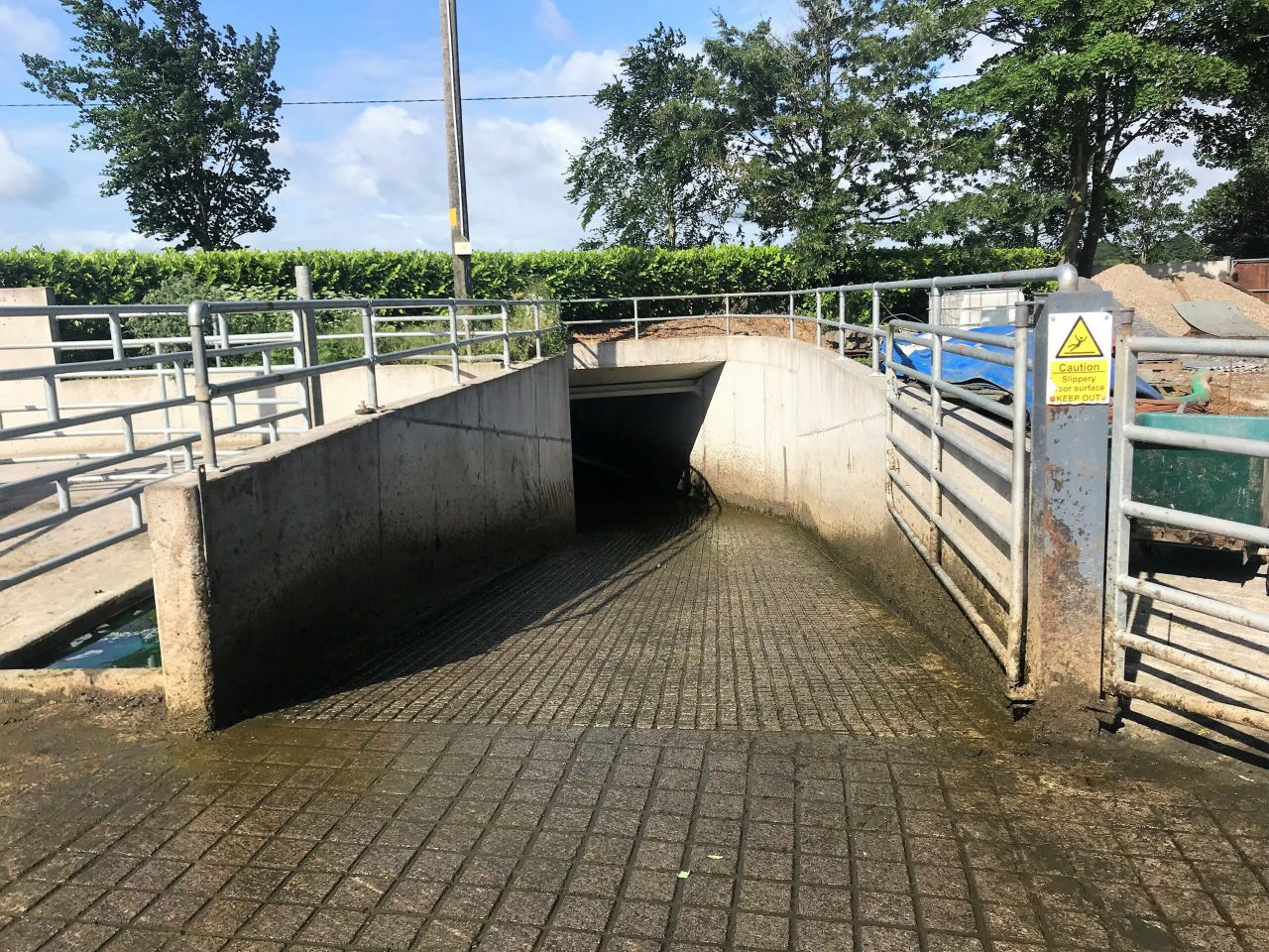 Buildings focus: Cow flow to the fore with footbath and underpass in Co. Westmeath