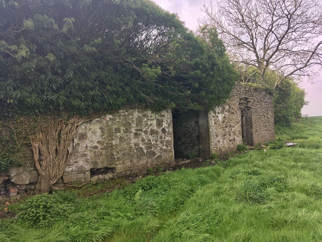Vacant-property scheme expanded to remote rural areas