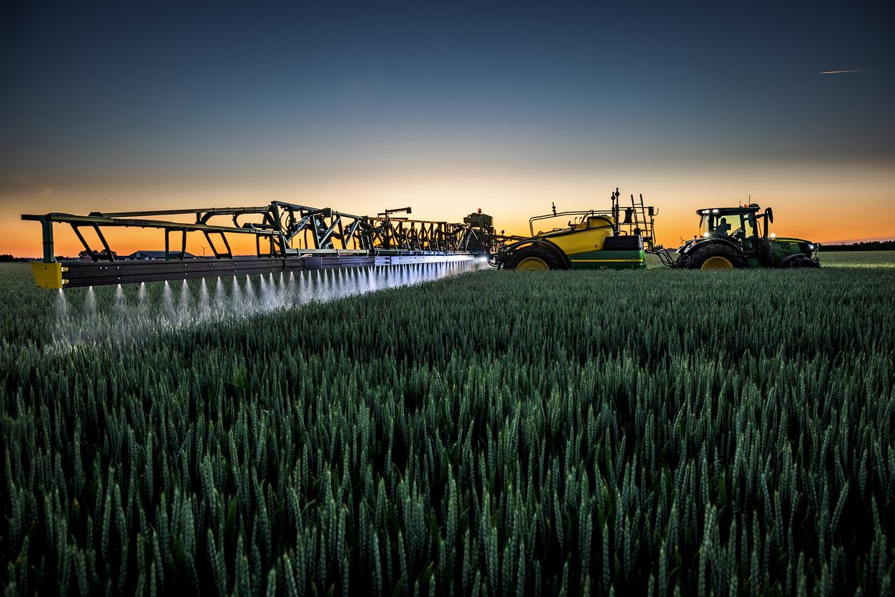 Complicated interaction between aphids and BYDV - research