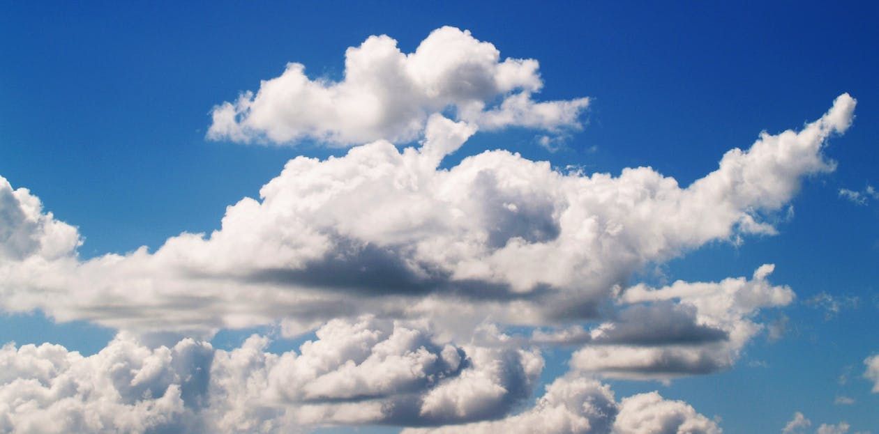 World Bank launches first global framework for agri-food emissions