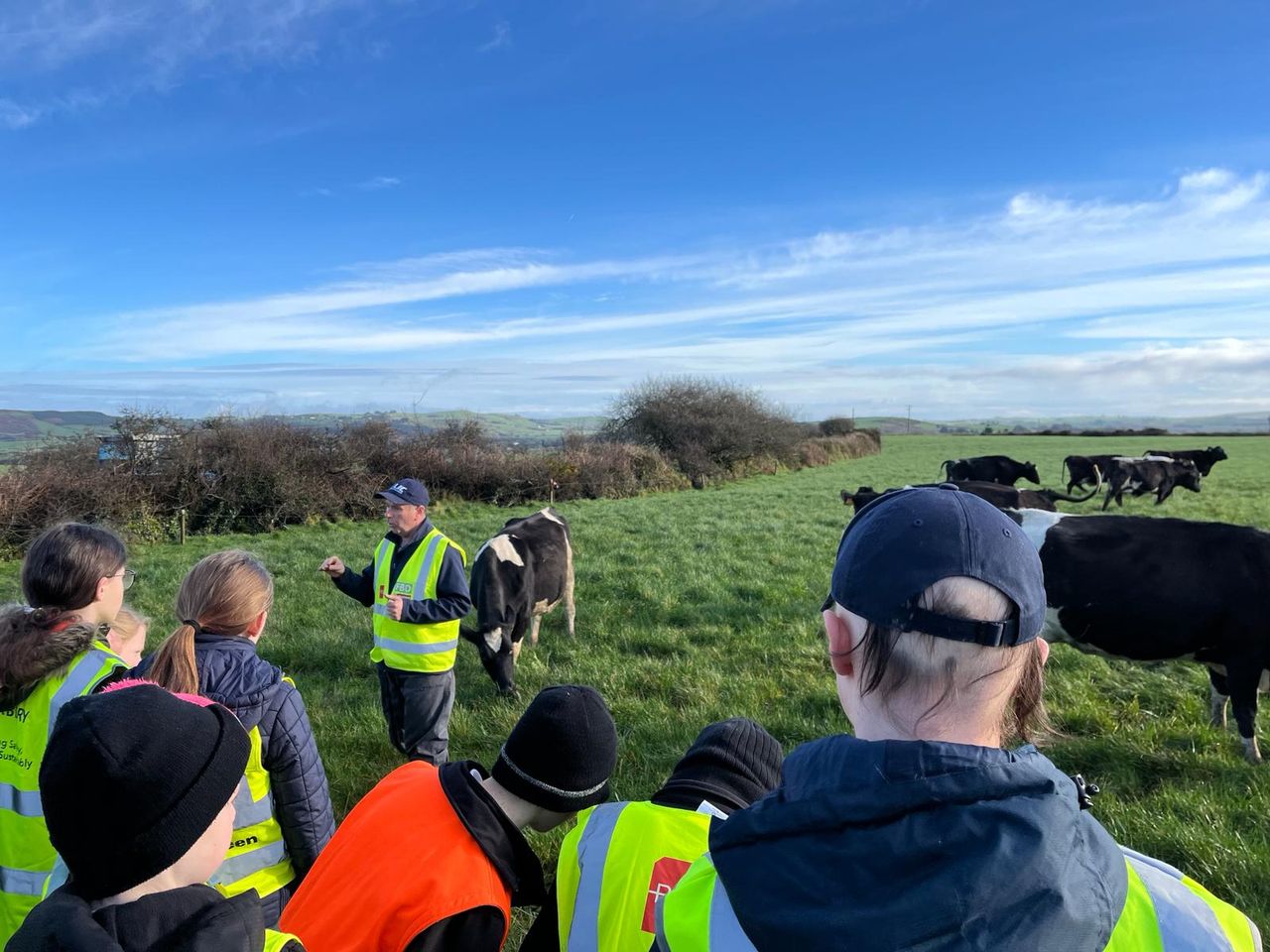 West Cork families provide farming workshops to school kids