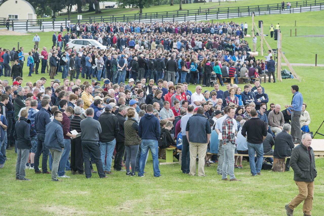 Five take-home messages from Moorepark '17