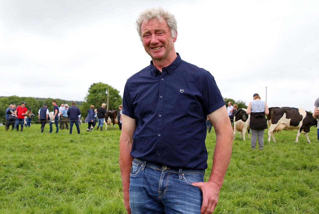 Dairy focus: Keeping the British-Friesian breed alive in Co. Kilkenny