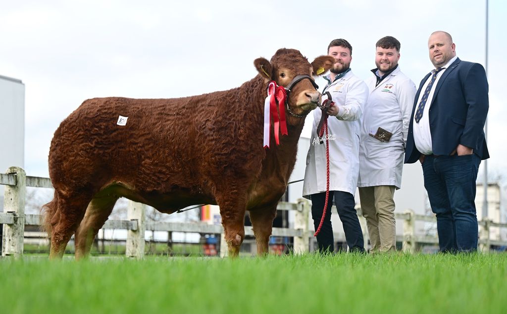Clontown Stooki and breeders Kieran and Kevin Treanor and show judge Gareth Corrie