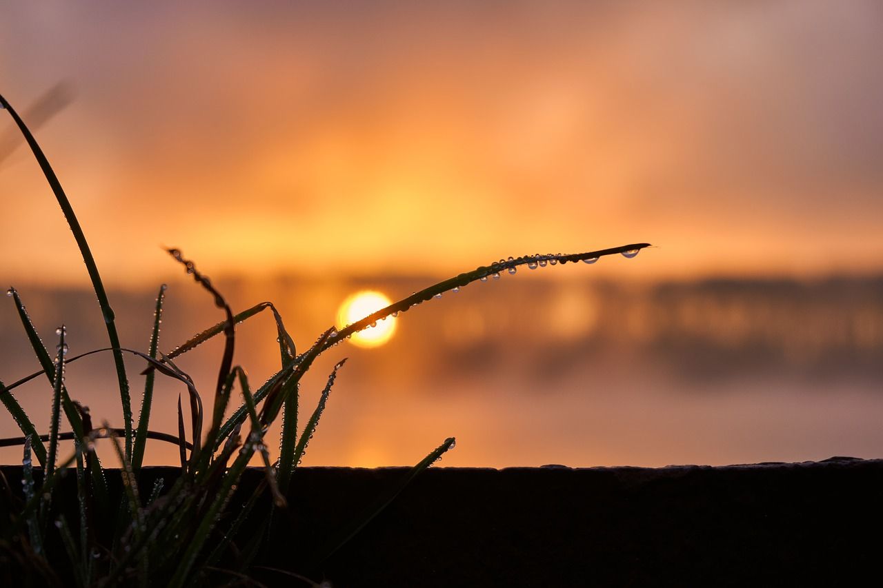 Analysis: March was second warmest on record in Europe