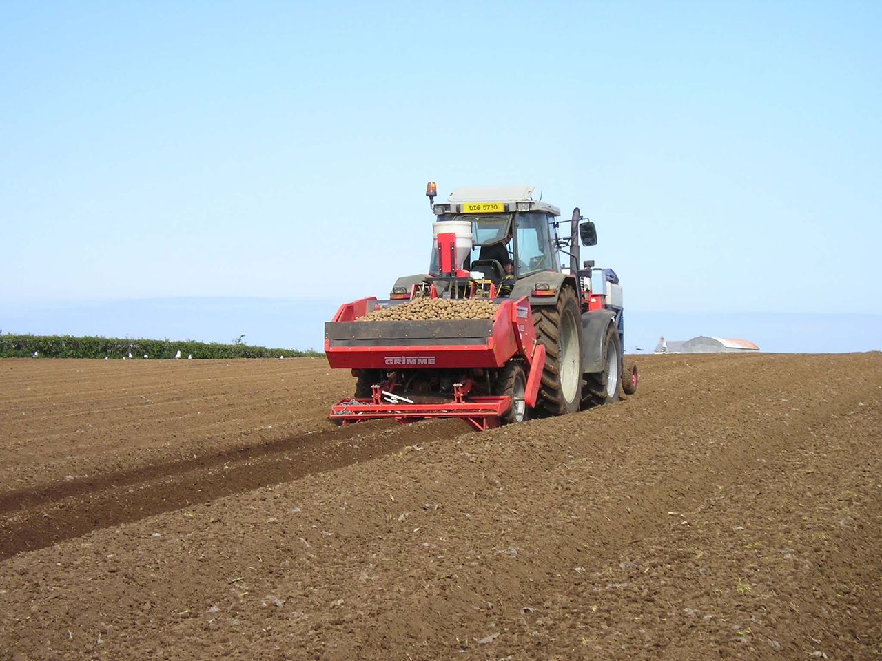 Over a 10% drop in area of land under potatoes last year