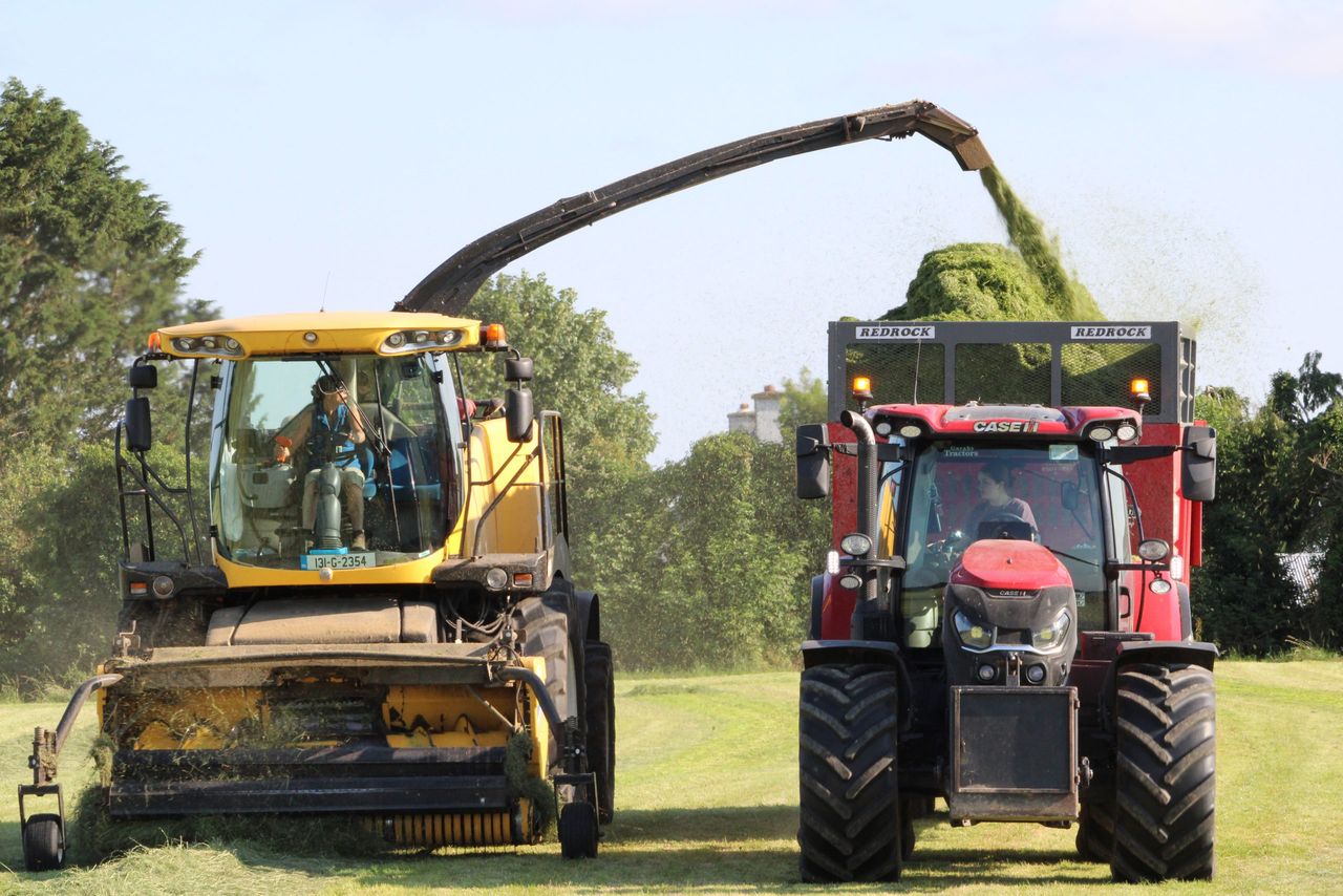 Ann Gleeson Hanrahan, FCI managing director, picking up silage