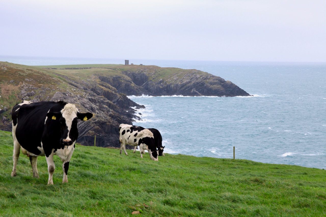 2050 targets: Agriculture needs to improve 'environmentally and commercially'