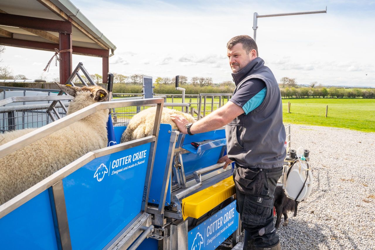 Organic sheep farming and smart technology at Limerick open day