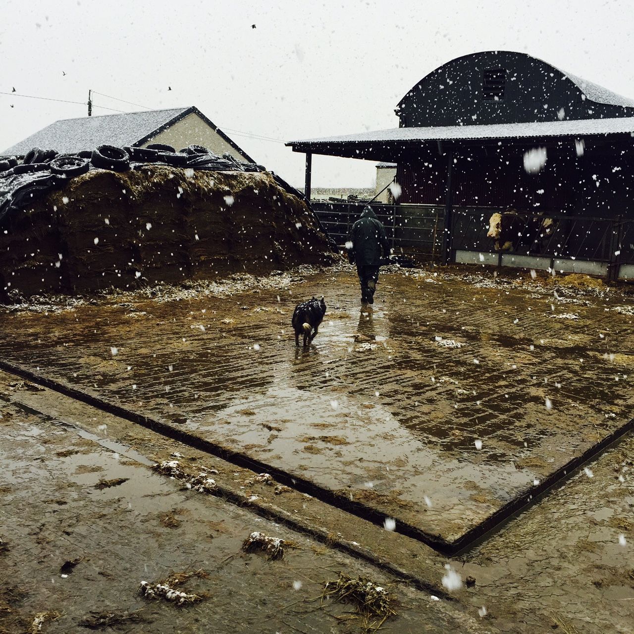 A cold weekend in store with wintry showers - Met Eireann