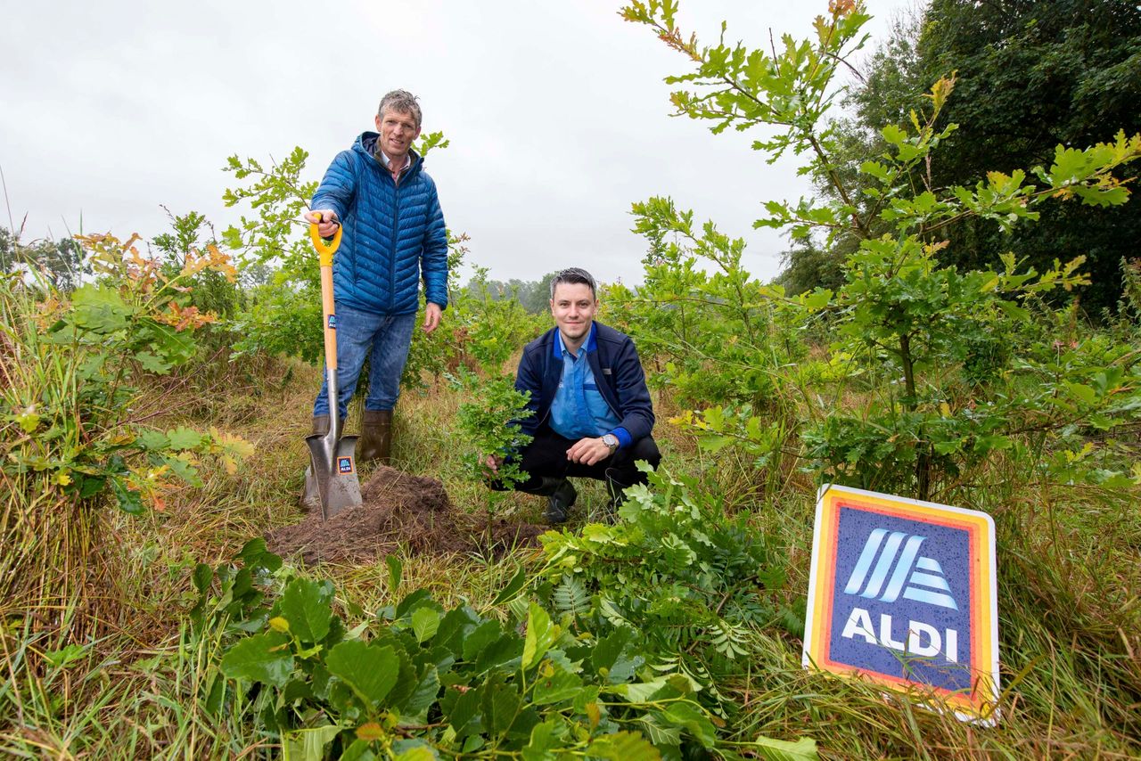 Aldi to plant 37,000 trees in Co. Meath