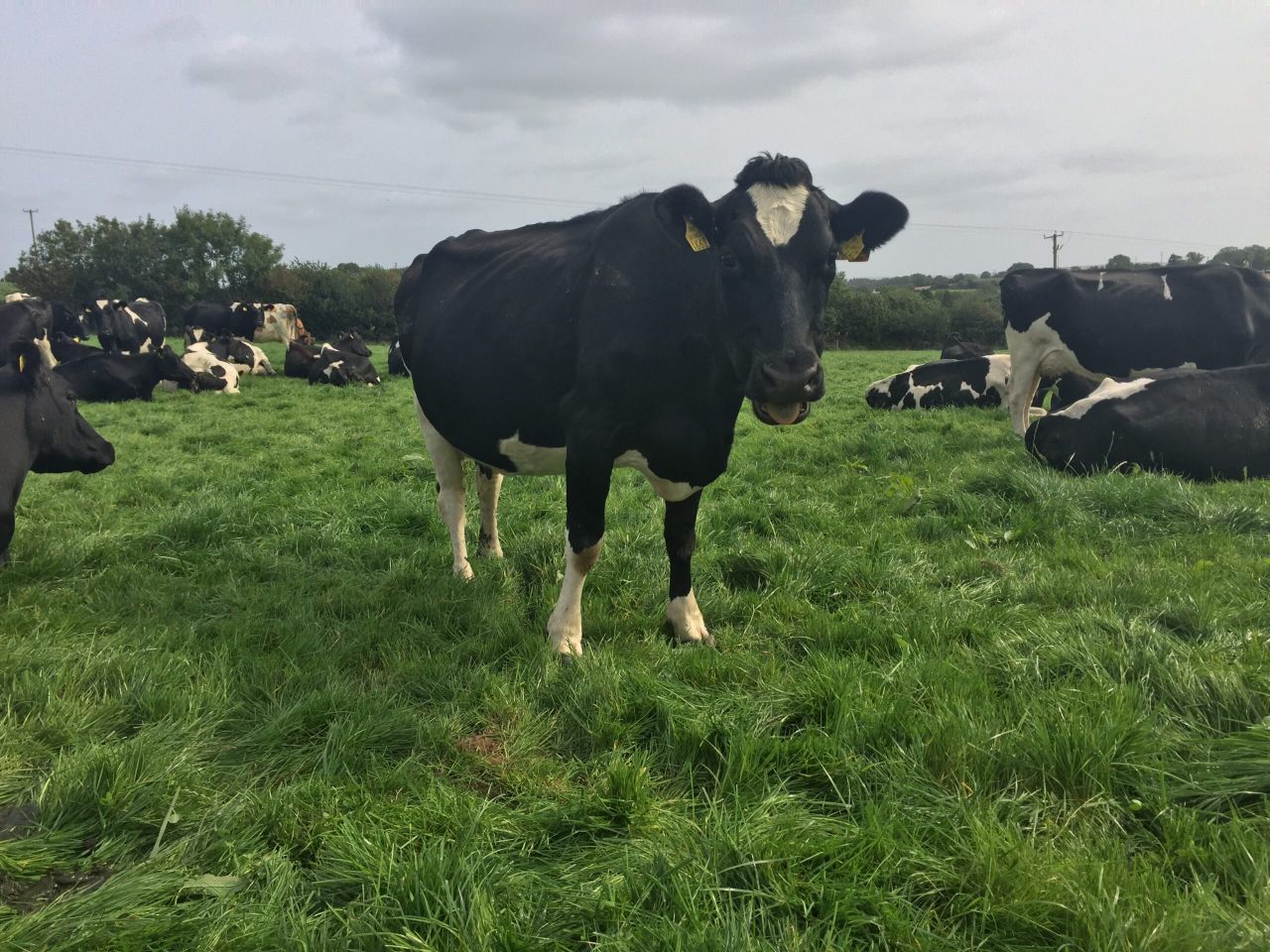 Video: Share farming a 'win-win' on 34ha greenfield farm