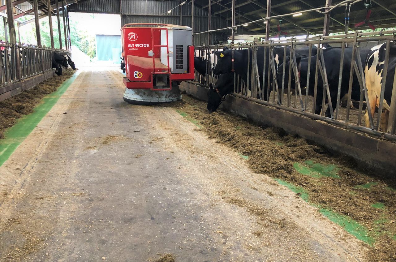 Removing cows from Ireland would be 'bad' for the world - Lely