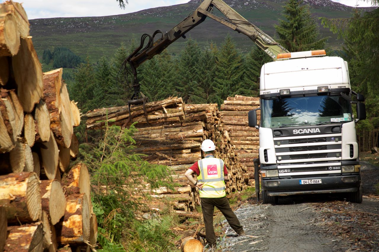 Resource launched to help forest owners selling timber