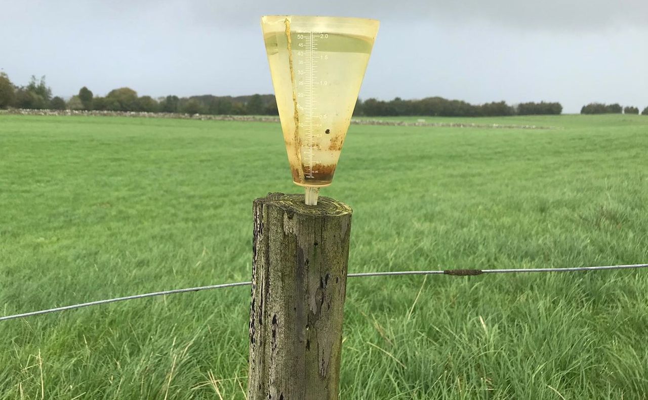 Grass growth: 'Well above average rainfall' forces more farmers to house
