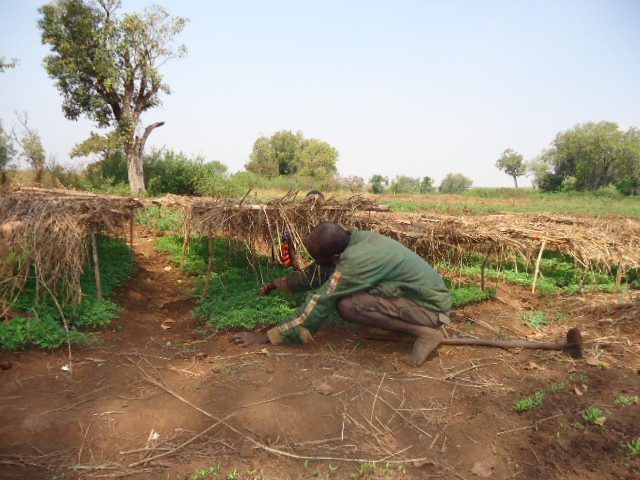 Ireland provides over €20m in assistance to UN world food programme
