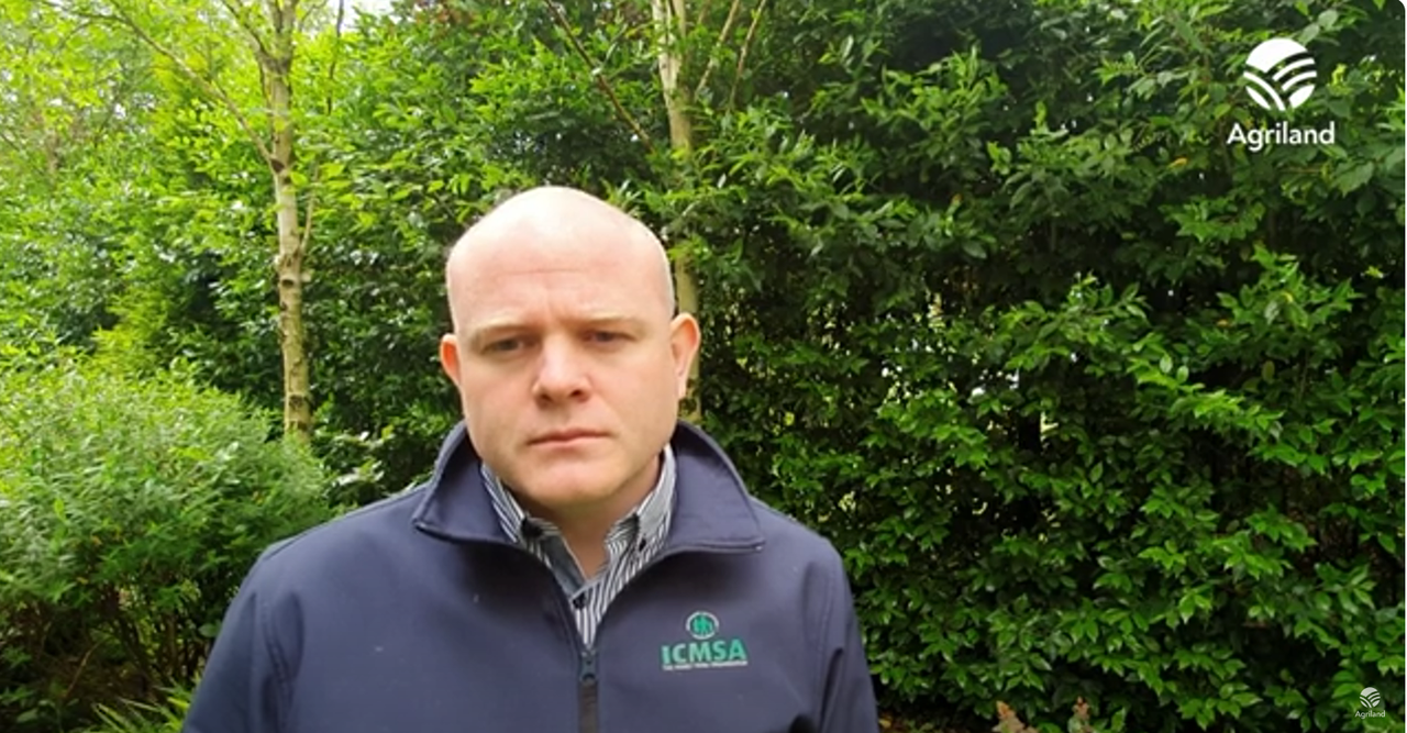 Watch: What does the future hold for dairy with milk yields down?