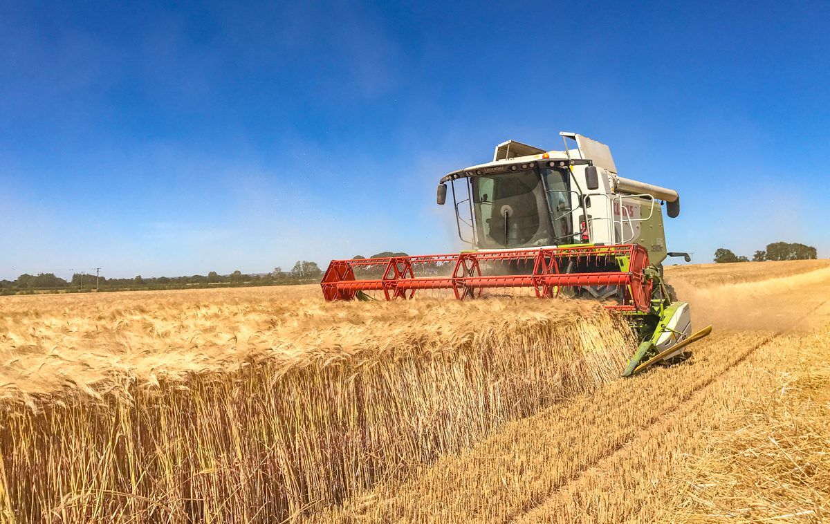 2018 harvest: Lowest average spring barley yield since 2002
