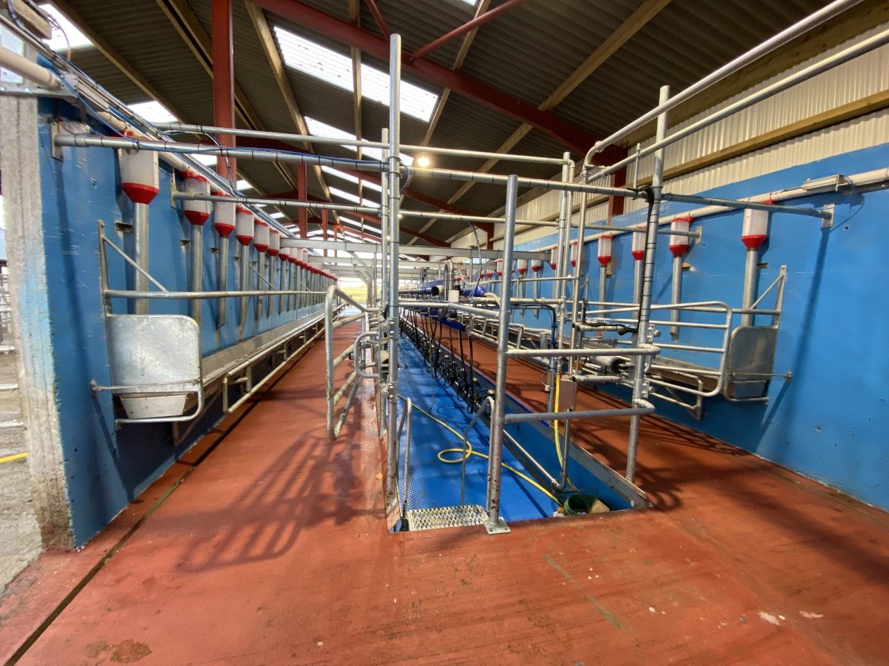 Buildings Focus: New 24-unit parlour for 200 cows in Meath