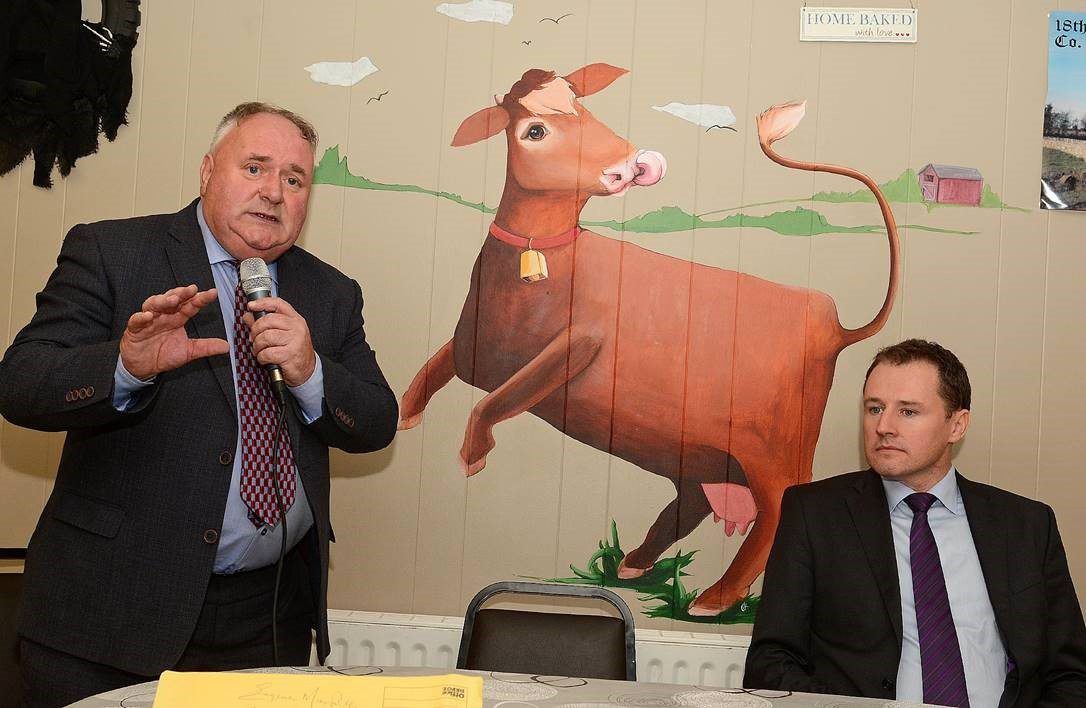 Fianna Fail's McConalogue addresses 'farm income crisis' at Elphin Mart