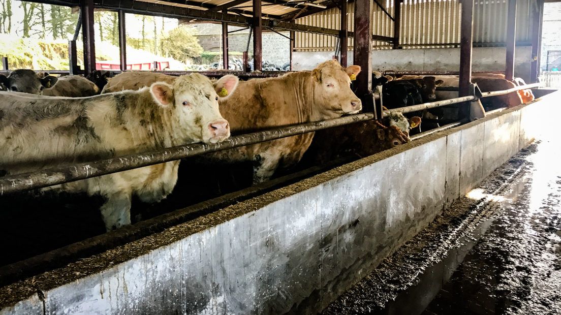 Emissions reduction: Targets for 5 main sectors emerge