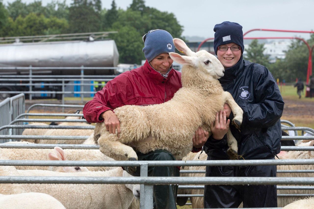 Pics: Cork Summer Show 2016 goes off 'without a hitch' (Despite the rain!)