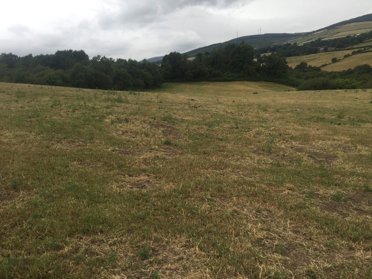 How long before grass growth rates return to normal levels?