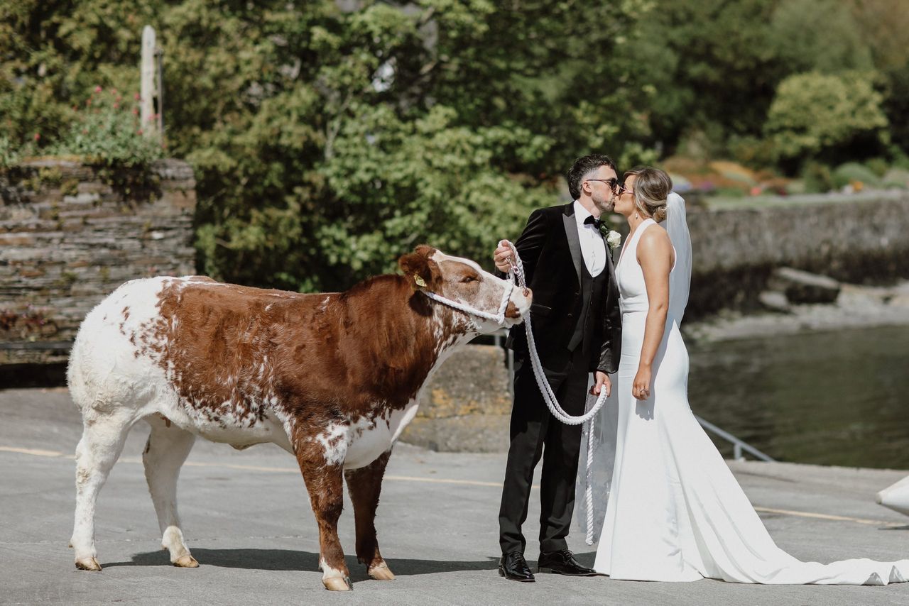 Co. Cork couple say 'I moo' with heifer in tow