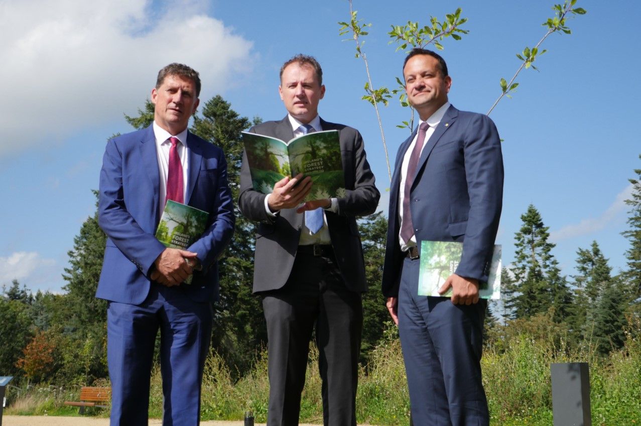 McConalogue was 'disconcerted at complacency' on derogation