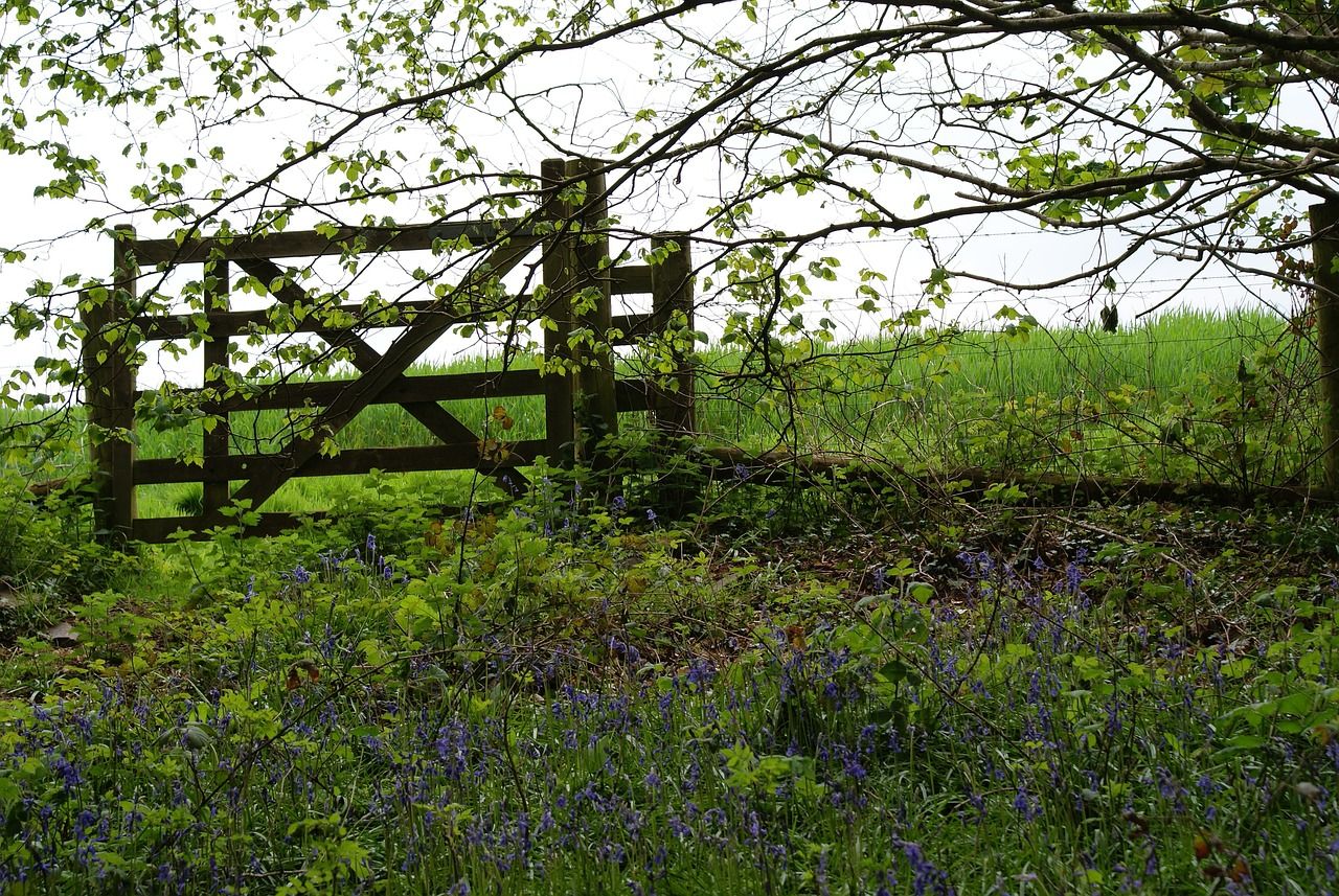 EPA announces €6.5m for climate and environment research