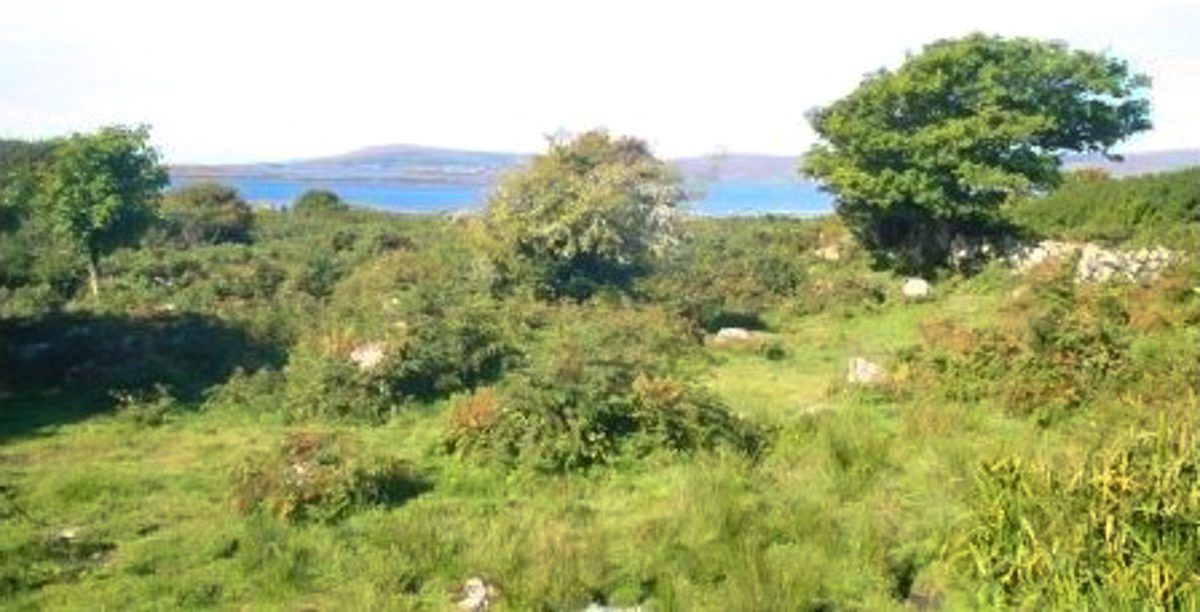Coastal farm sees guide price of €2,941/ac in Co. Galway