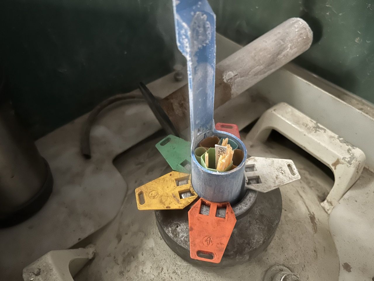 Checking the liquid nitrogen tank ahead of breeding