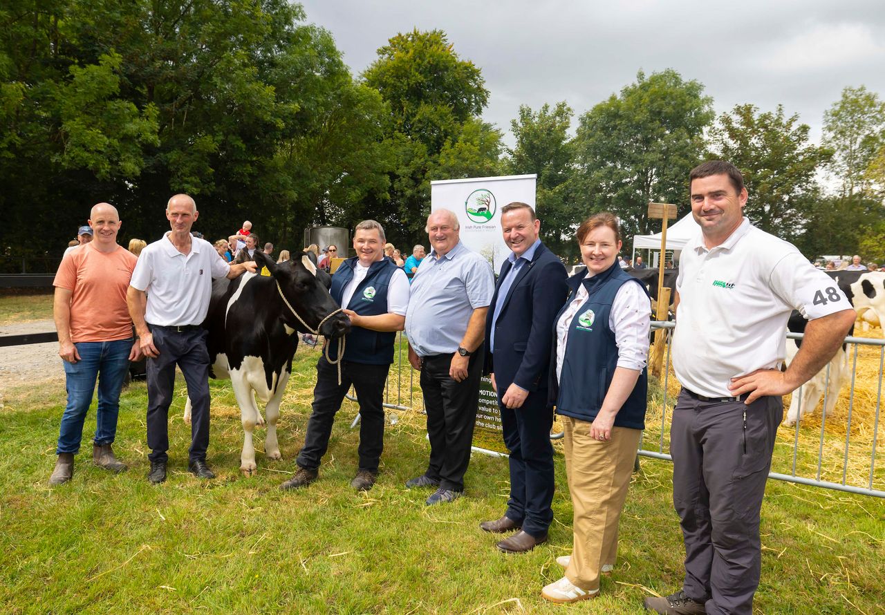Irish Pure Friesian Club to hold all-new showcase sale