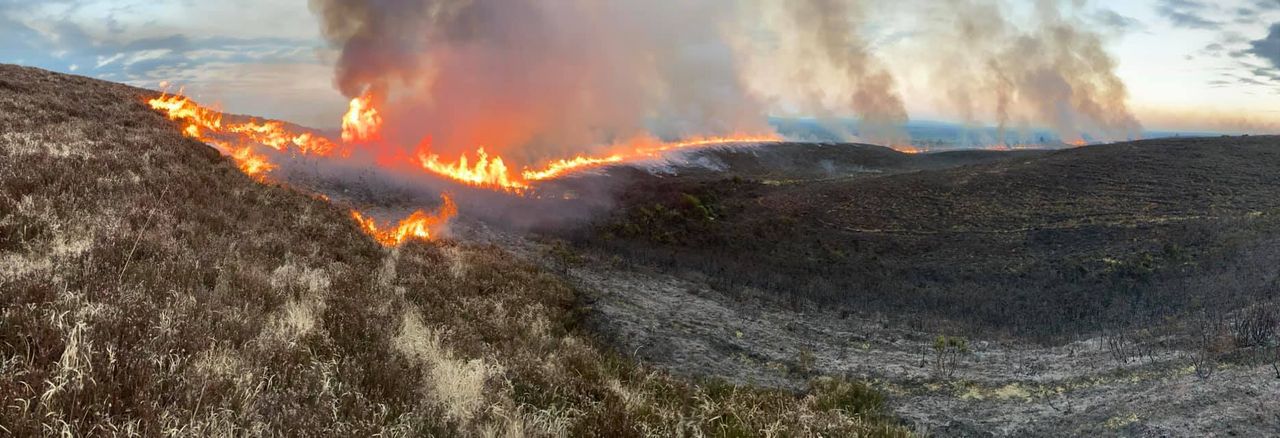 Totally irresponsible to burn land at this time of year