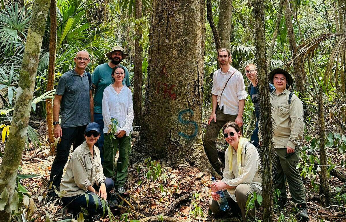 Galway joins global timber conservation programme