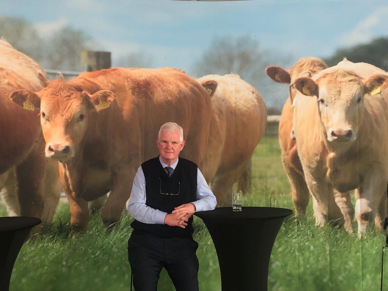 'Herd health planning saves money and makes more profit on the farm'