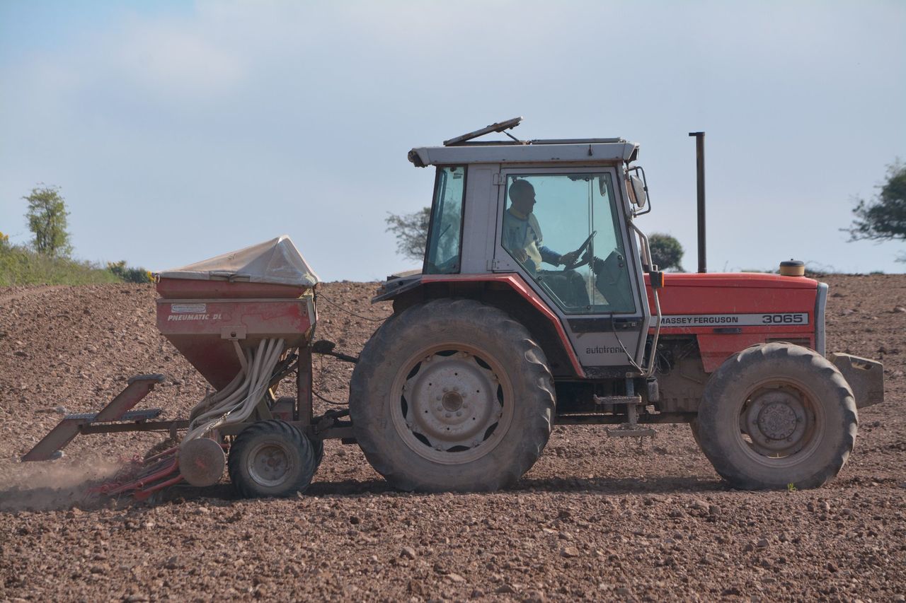 Good seed-bed preparation is proving its worth in the south-east