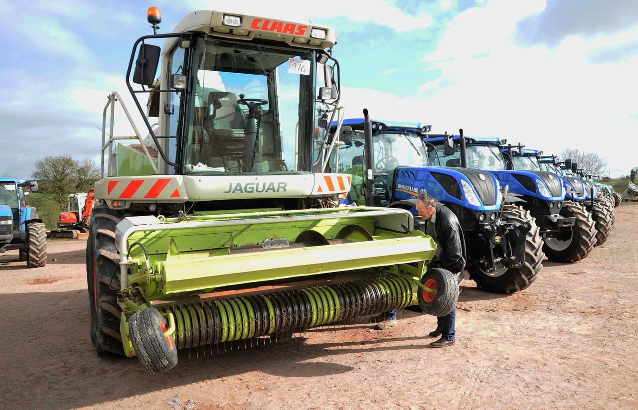Auction report: Old and modern 'under the hammer' at big Co. Tyrone sale
