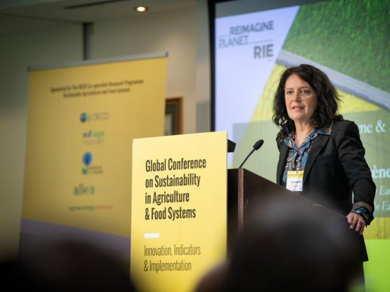 Farmers profits key for Farm to Fork success - MEP
