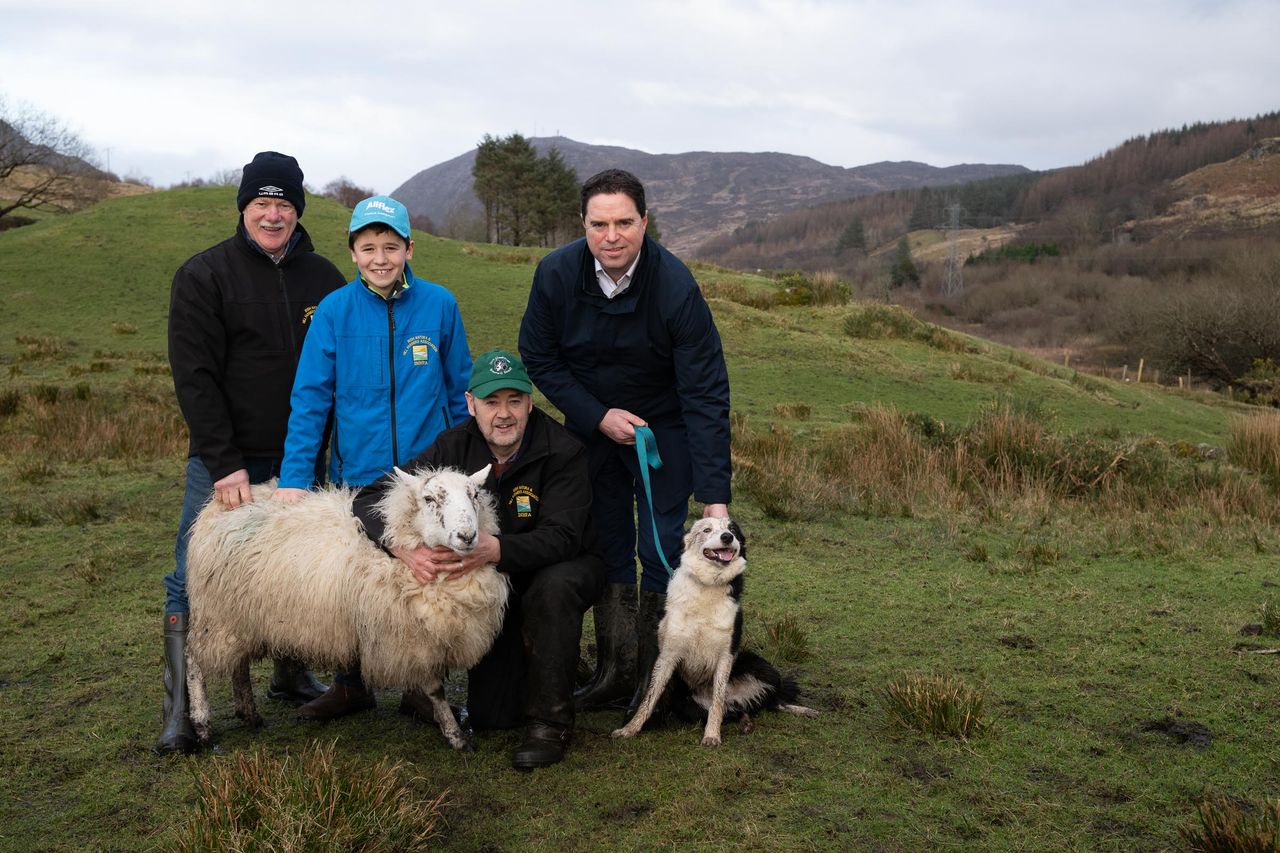 Minister urges dog owners to act responsibly in lambing season