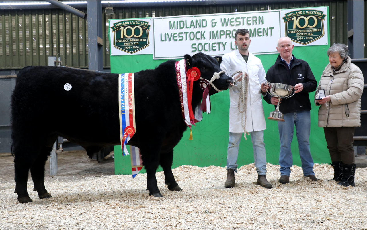 New Angus Herd on the scene takes 3 of top 4 prices at centenary Carrick sale