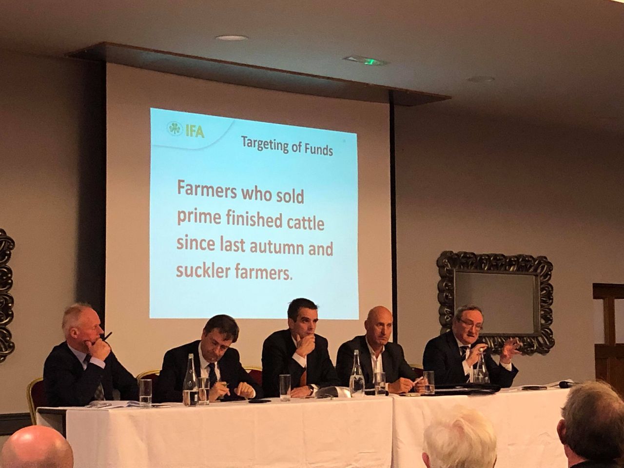 Reference dates for €100 million beef support fund submission explained