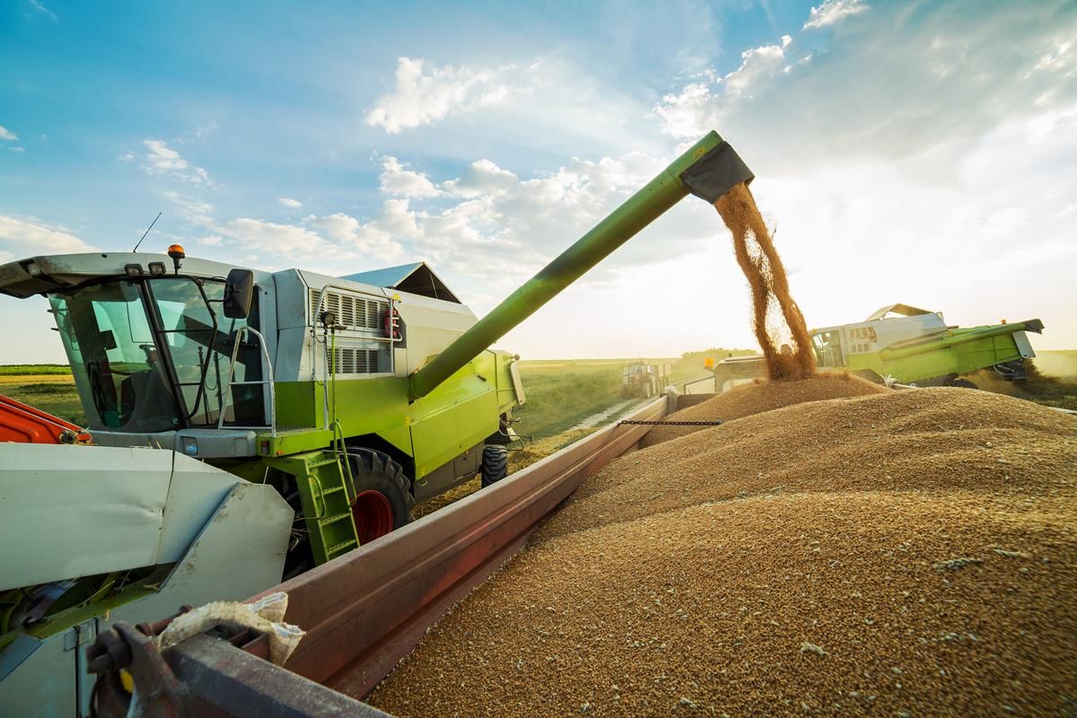 394% increase in tillage farm profits, but 57% dependent on BPS