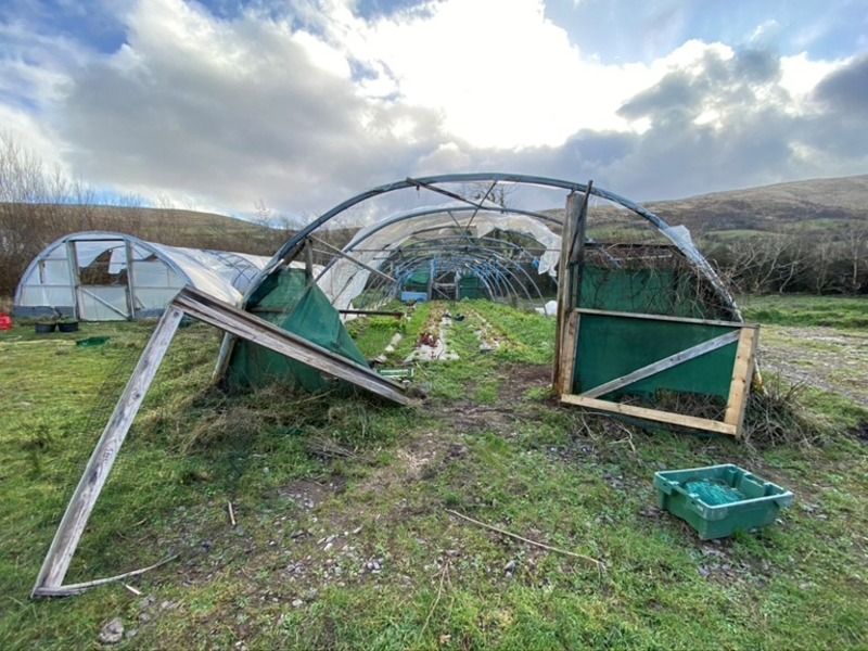 Small growers hit by storm damage say scheme 'falls far short'