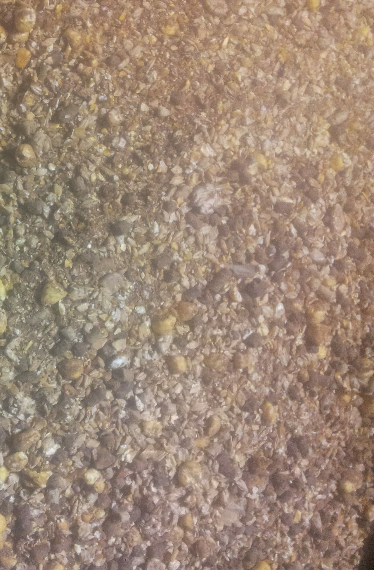 How much are you paying for your concentrates?